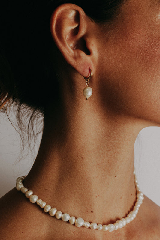 Collar shell image 2