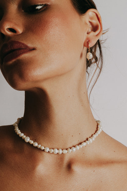Collar shell image 1