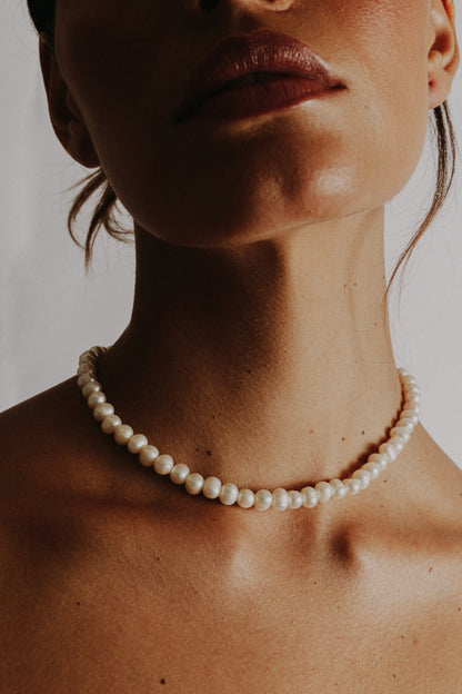 Collar shell image 5